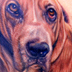 Tattoos - Henry the Dog Portrait - 46499